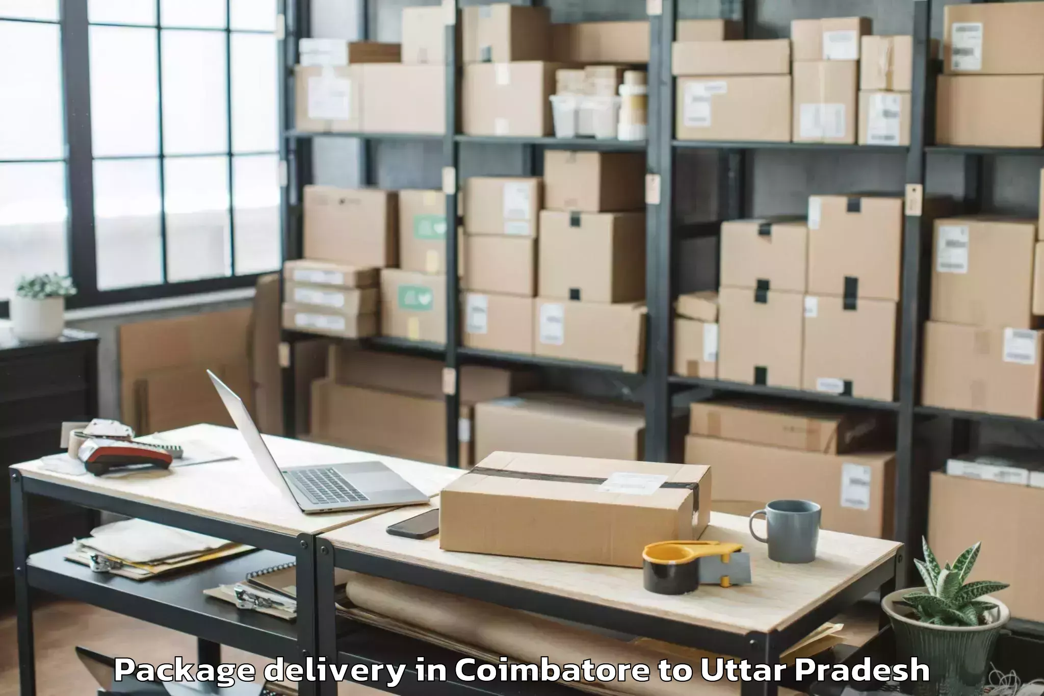 Comprehensive Coimbatore to Invertis University Bareilly Package Delivery